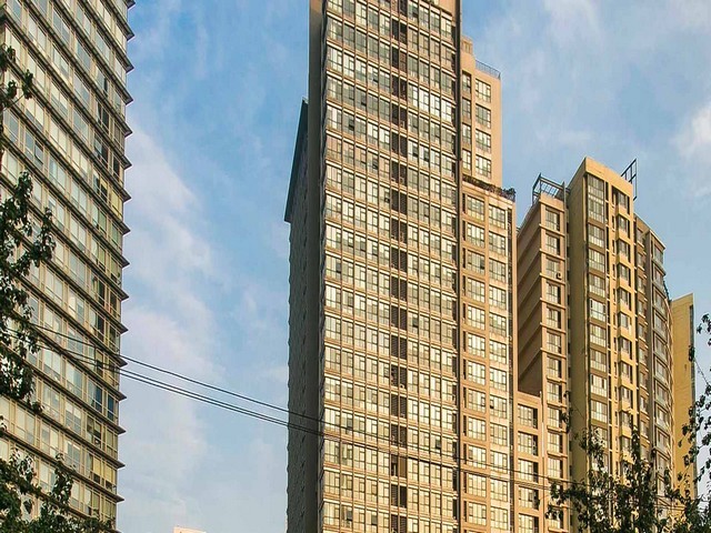 泰国小型雨林缸设计