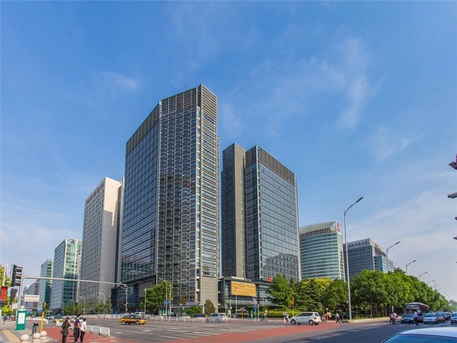 甘肃美容花茶系列